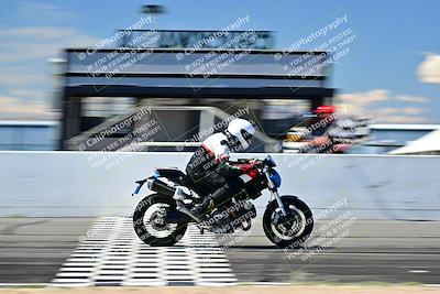 media/Mar-25-2024-Moto Forza (Mon) [[8d4319bd68]]/4-Novice Group/Session 4 Front Straight Speed Pans/